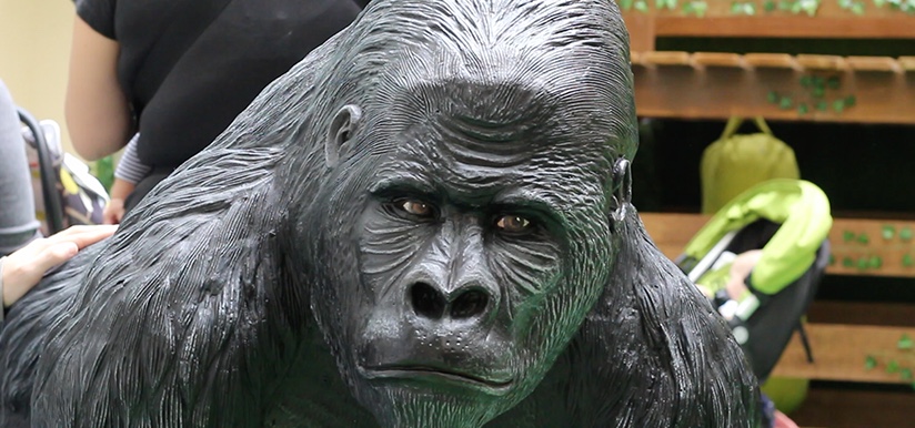 Silverback